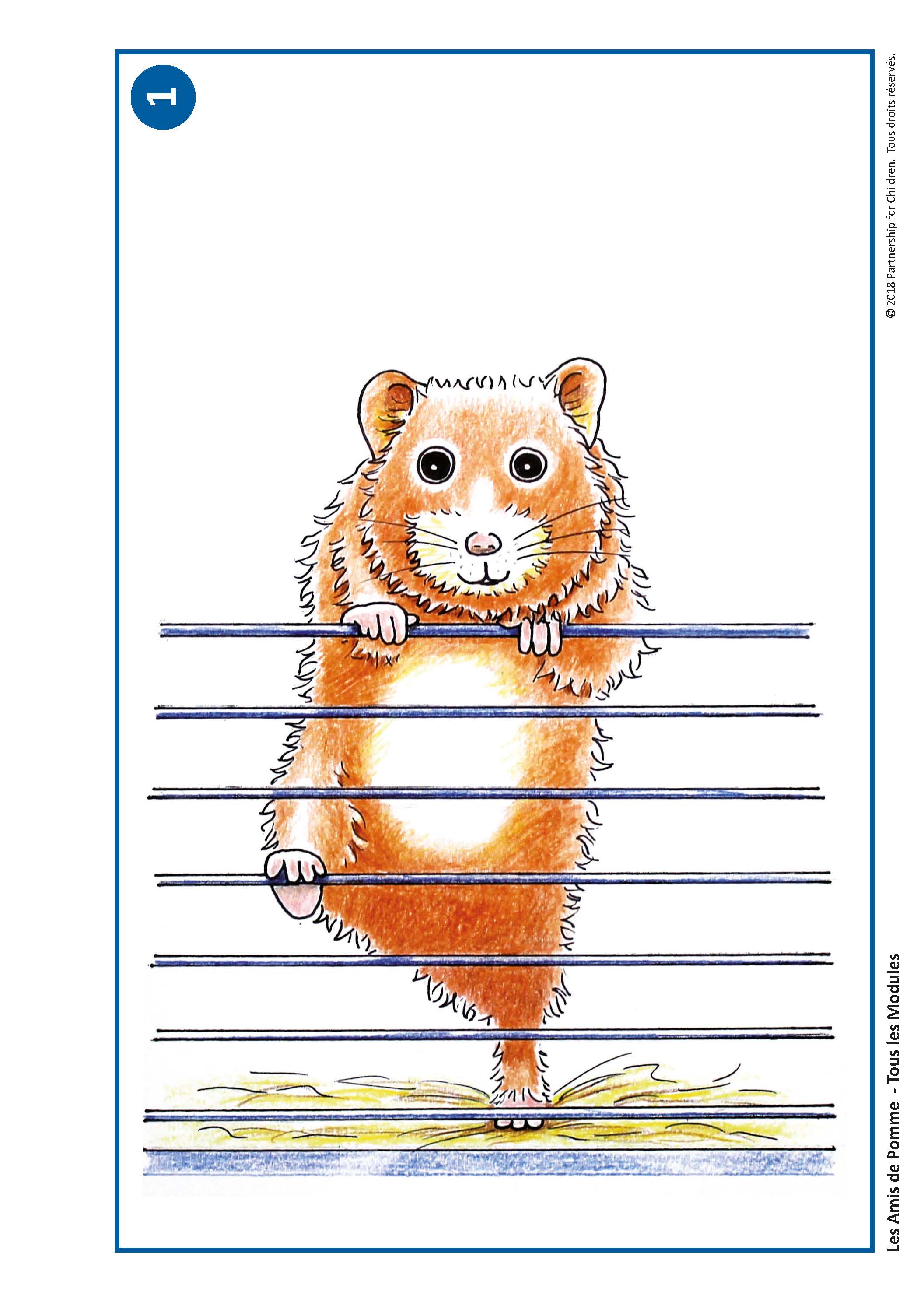 Illustrations pour tous les modules_Page_01 Illustrations pour tous les modules_Page_01